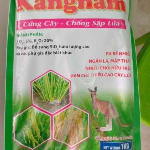 Kangnam _ chống sập lúa