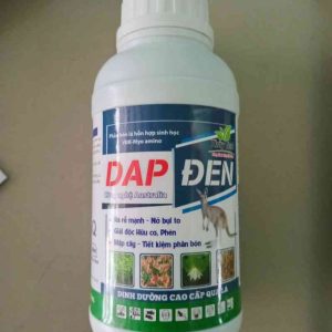 DAP đen