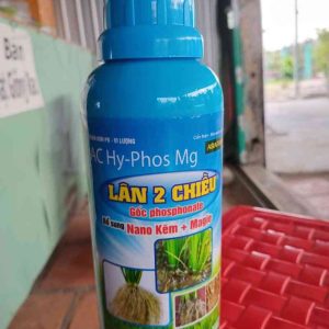 Lân 2 chiều