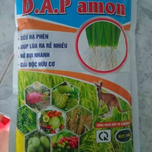 D.A.P mon