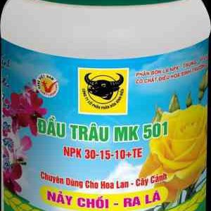 Đầu trâu 501