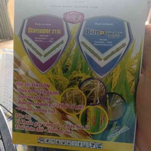 Bộ Đôi Siêu Nhân