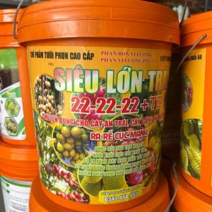 Xô Siêu Lớn Trái