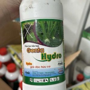 Genta Hydro
