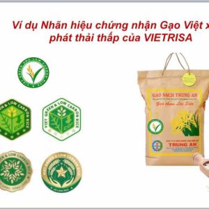 giong lua 1M Phát thải thấp