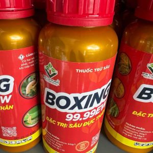 Boxing 99.99EW