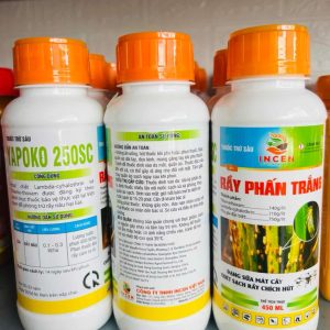 YaPoKo Rầy Phấn Trắng