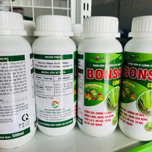 BonSai