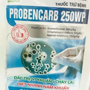 Vi Khuẩn PROBENCARB 250WP