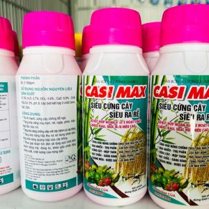 Casi Max