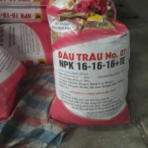 Phân bón đầu trưau