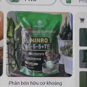 Phân bón