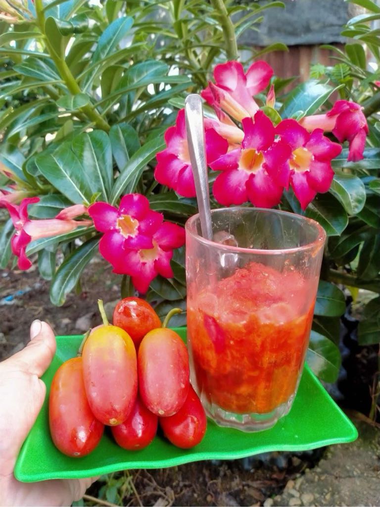 Bình bát dây